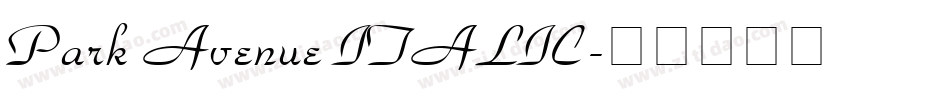 Park Avenue ITALIC字体转换